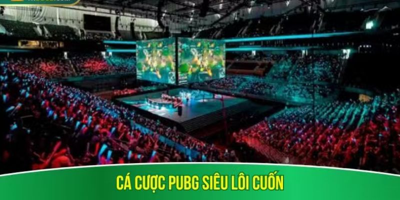 Cá cược PUBG siêu lôi cuốn