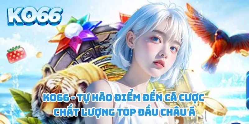 Tầm nhìn của Ko66 trong giai đoạn mới