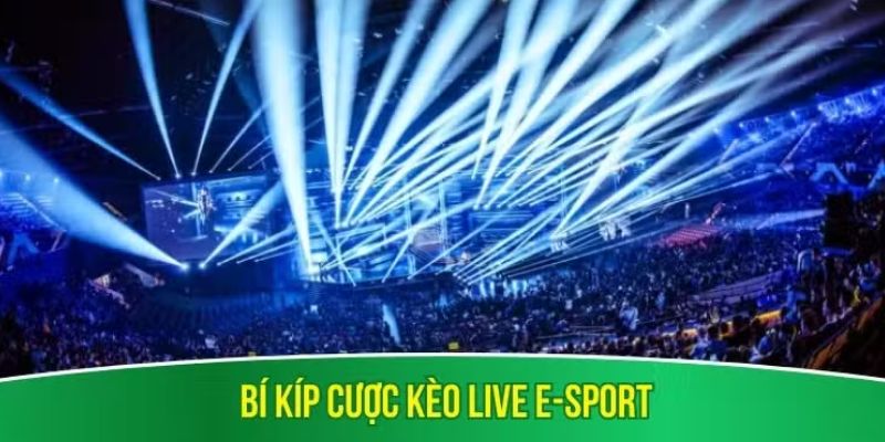 Bí kíp cược kèo live e-sport