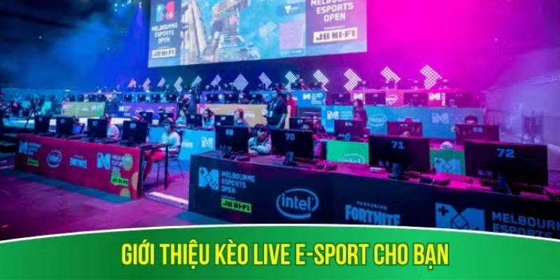 Giới thiệu kèo live e-sport cho bạn