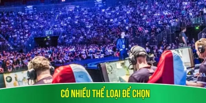 Có nhiều thể loại để chọn