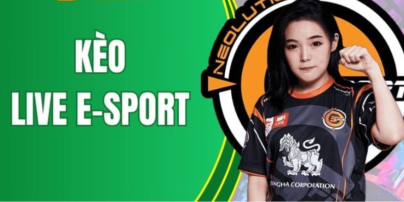 Bí Kíp Ăn Chắc Kèo Live E-Sport Đỉnh Cao Tại Nhà Cái Ko66