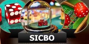 Sicbo sản phẩm đang gây bão tại Casino KO66 năm 2025