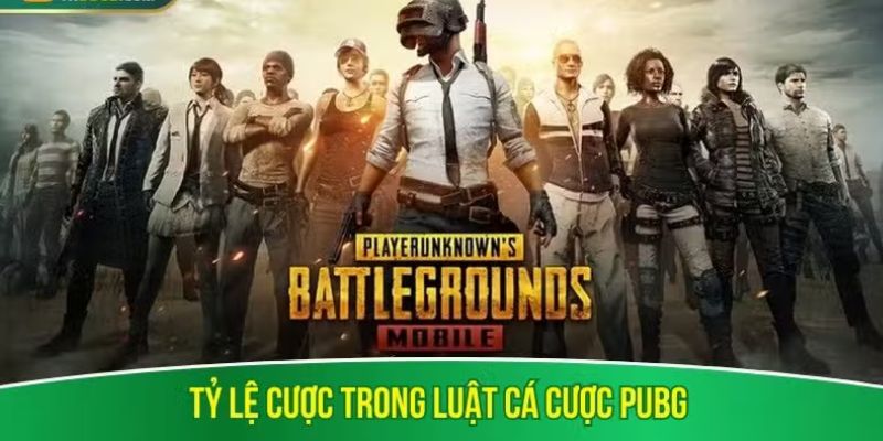 Tỷ lệ cược trong luật cá cược PUBG