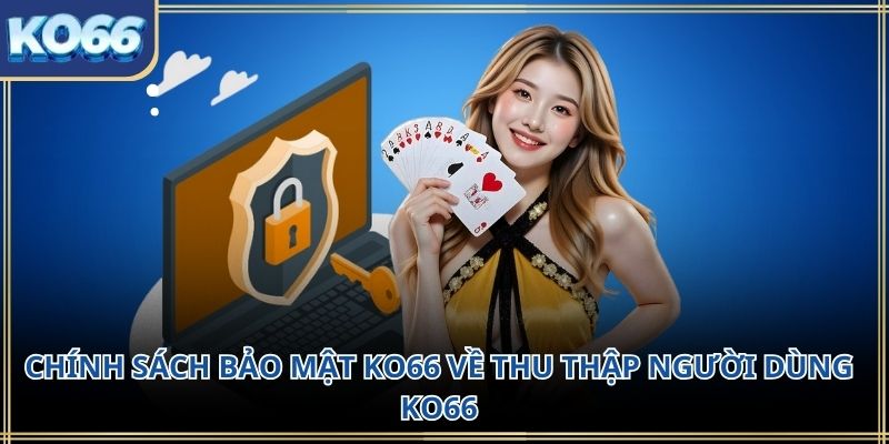 Chính sách bảo mật KO66 về thu thập người dùng KO66
