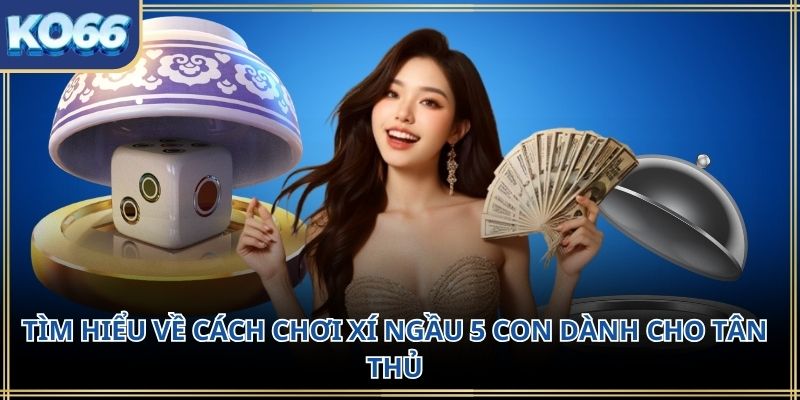 Tìm hiểu về cách chơi xí ngầu 5 con dành cho tân thủ